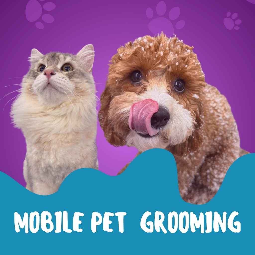 Mobile pet grooming